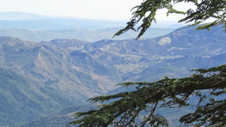 latitude : 36.443588 longitude : 6.026489