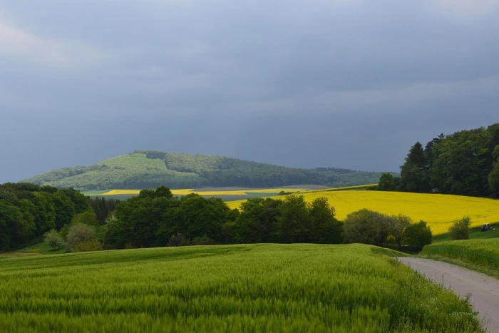 alentours de Kretz (Allemagne)