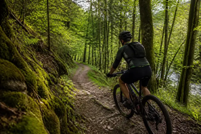 VTT dans la forêt de Mormal
