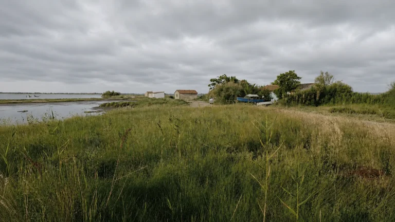 la pointe du Salaison