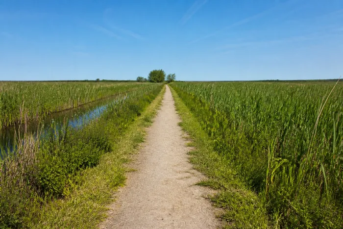 sentier de randonnée à la pointe du Salaison
